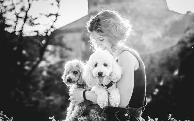 Fotógrafo de mascotas: Caniches en el Teatre Grec