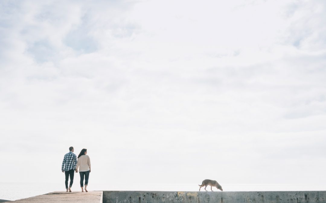 Fotógrafo de Mascotas «Colega en la Playa de la Marbella»